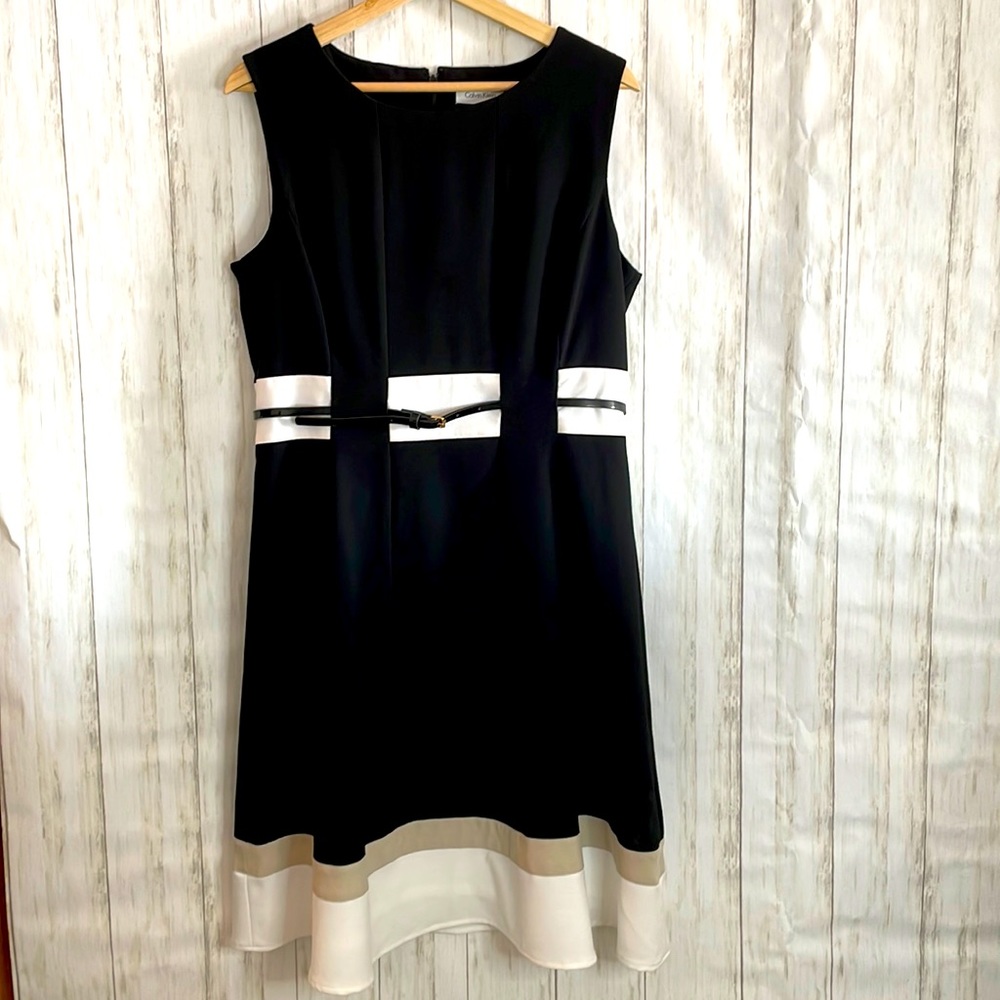 Calvin Klein dress with belt